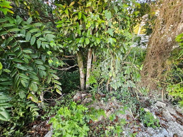 Fourteenth image of 43 Woodland Rise, Red Hills in Red Hills, St. Andrew, Jamaica - property is For Sale