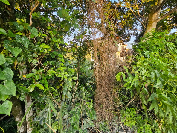 Seventeenth image of 43 Woodland Rise, Red Hills in Red Hills, St. Andrew, Jamaica - property is For Sale