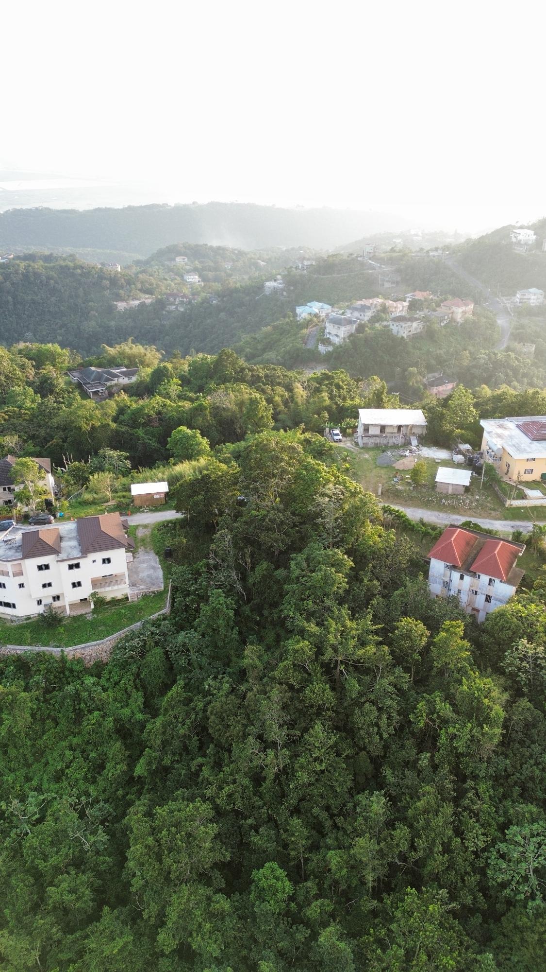 Eighteenth image of 43 Woodland Rise, Red Hills in Red Hills, St. Andrew, Jamaica - property is For Sale