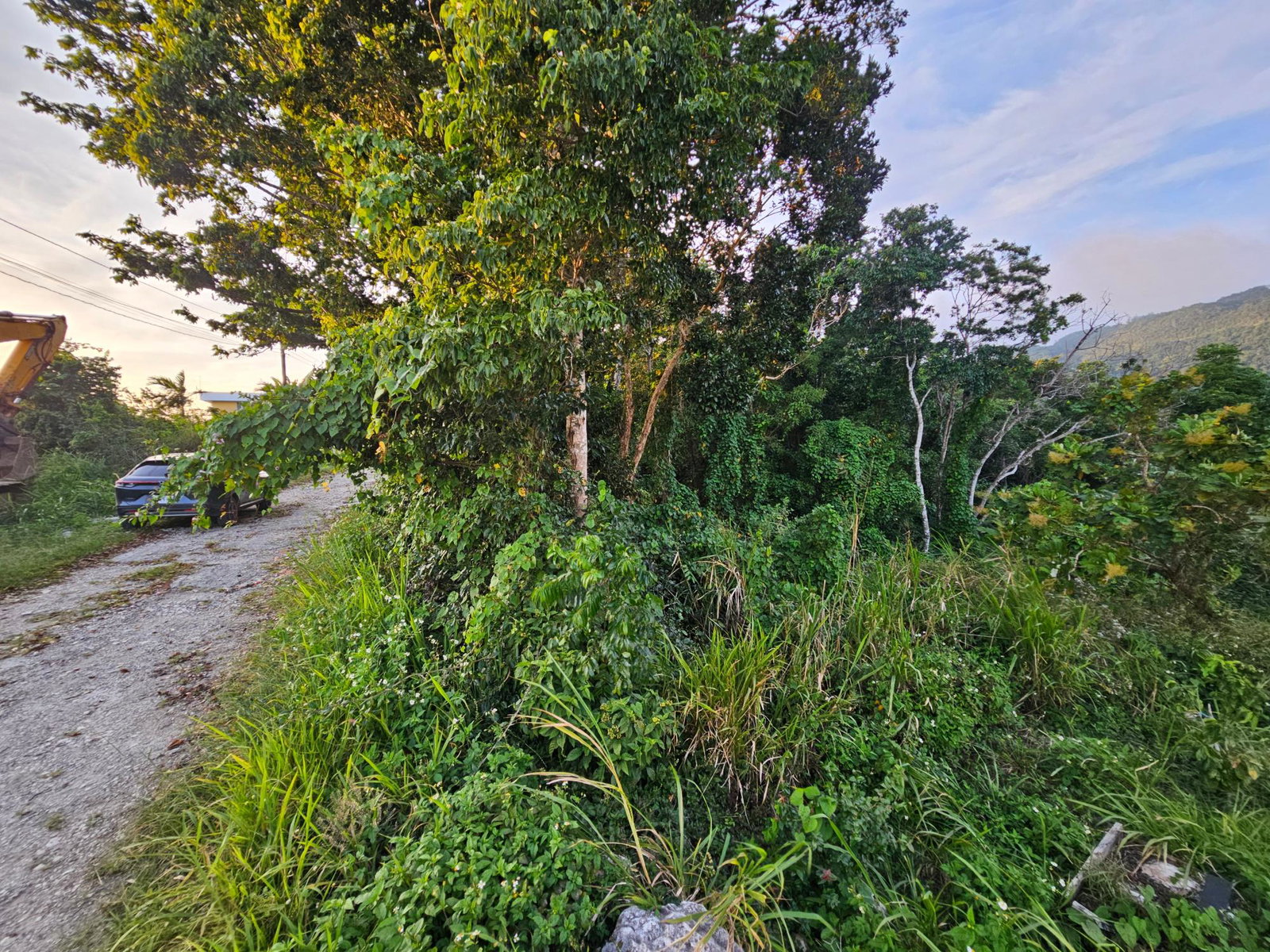 Nineteenth image of 43 Woodland Rise, Red Hills in Red Hills, St. Andrew, Jamaica - property is For Sale