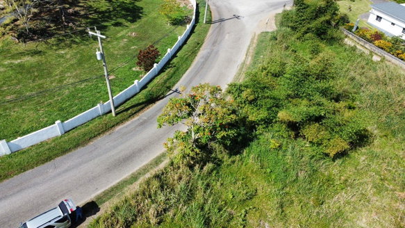 First image of Lot 56 Ward Avenue in Mandeville, Manchester, Jamaica - property is For Sale
