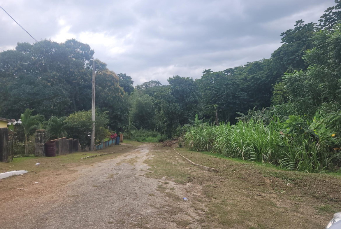 First image of 12 Lake Meadows in Linstead, St. Catherine, Jamaica - property is For Sale