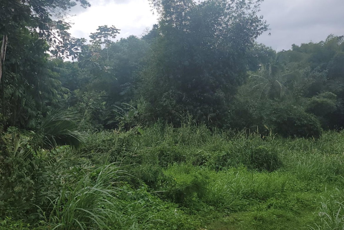 Third image of 12 Lake Meadows in Linstead, St. Catherine, Jamaica - property is For Sale