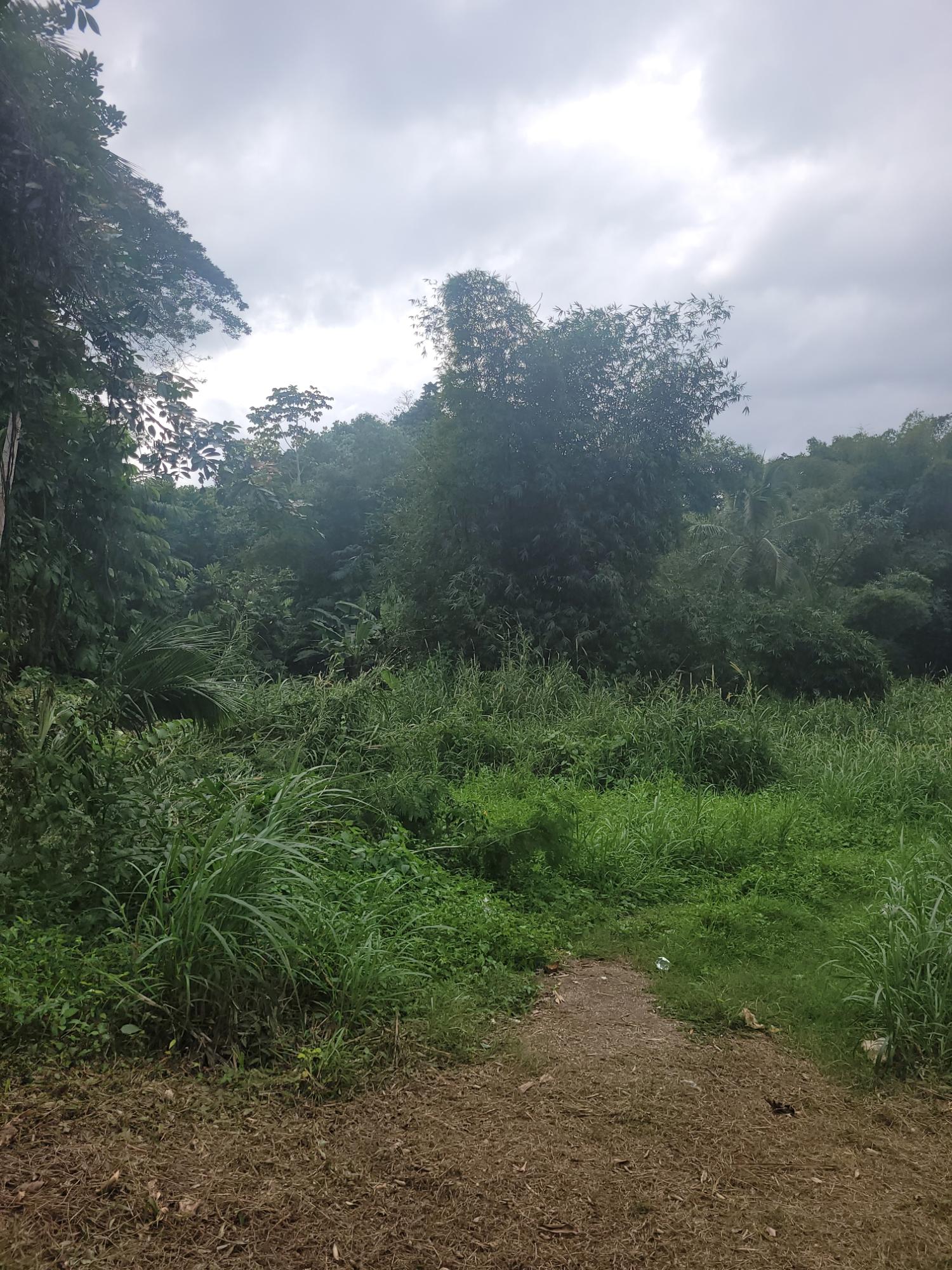 Third image of 12 Lake Meadows in Linstead, St. Catherine, Jamaica - property is For Sale