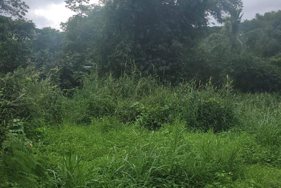 Fourth image of 12 Lake Meadows in Linstead, St. Catherine, Jamaica - property is For Sale