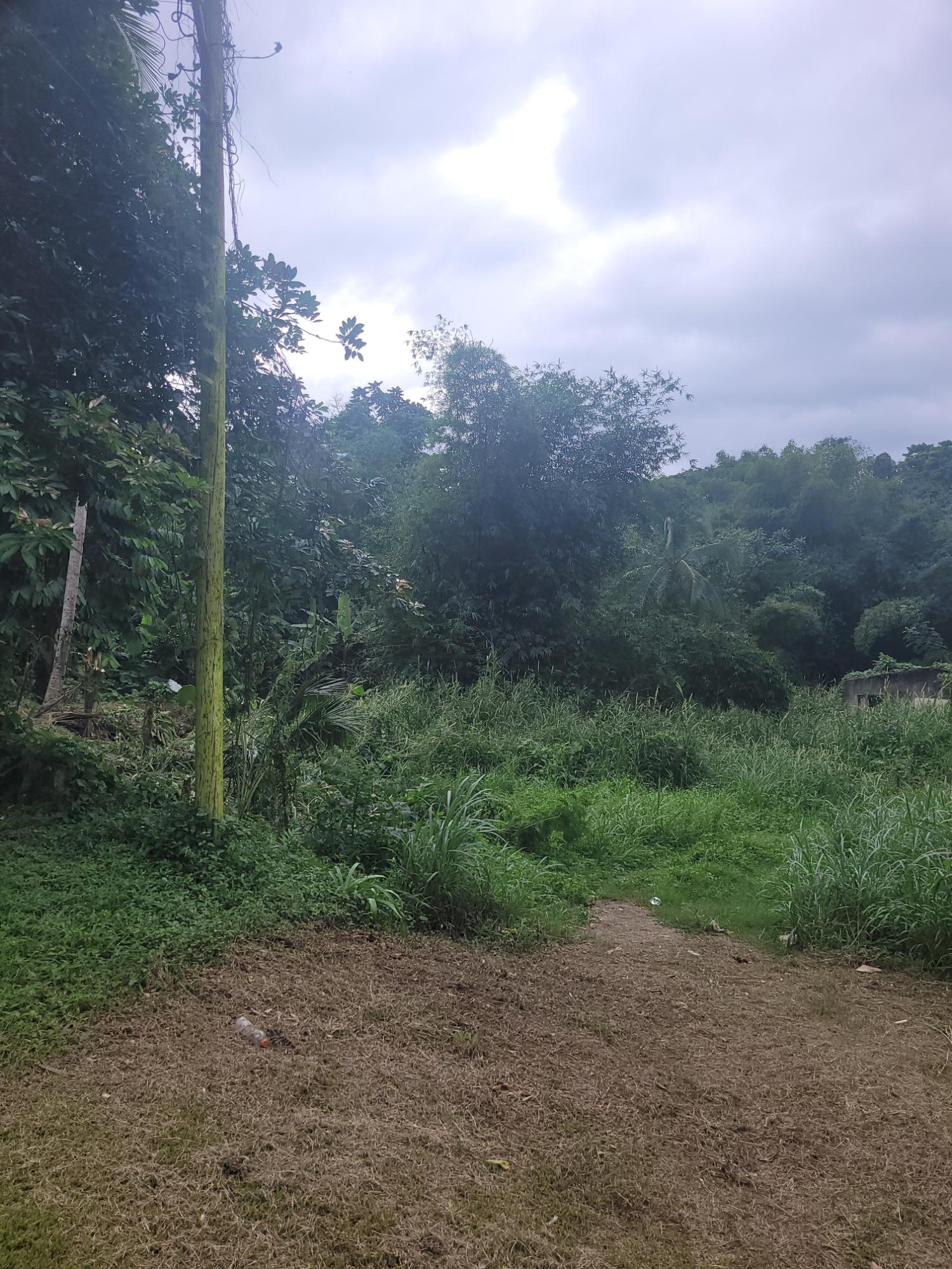 Fifth image of 12 Lake Meadows in Linstead, St. Catherine, Jamaica - property is For Sale