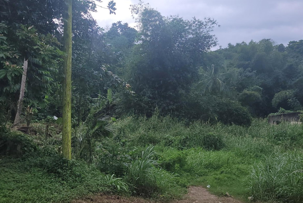 Sixth image of 12 Lake Meadows in Linstead, St. Catherine, Jamaica - property is For Sale