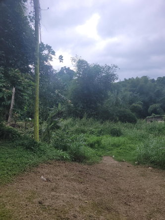 Sixth image of 12 Lake Meadows in Linstead, St. Catherine, Jamaica - property is For Sale