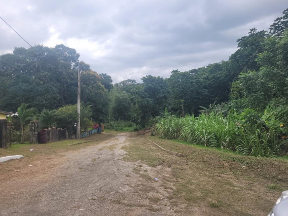 First image of 12 Lake Meadows in Linstead, St. Catherine, Jamaica - property is For Sale