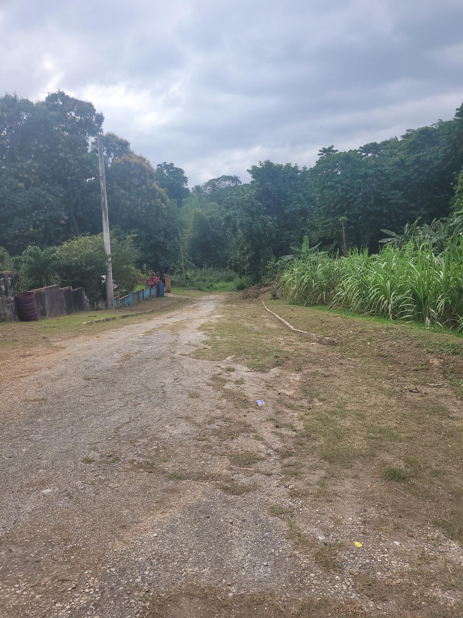 Seventh image of 12 Lake Meadows in Linstead, St. Catherine, Jamaica - property is For Sale