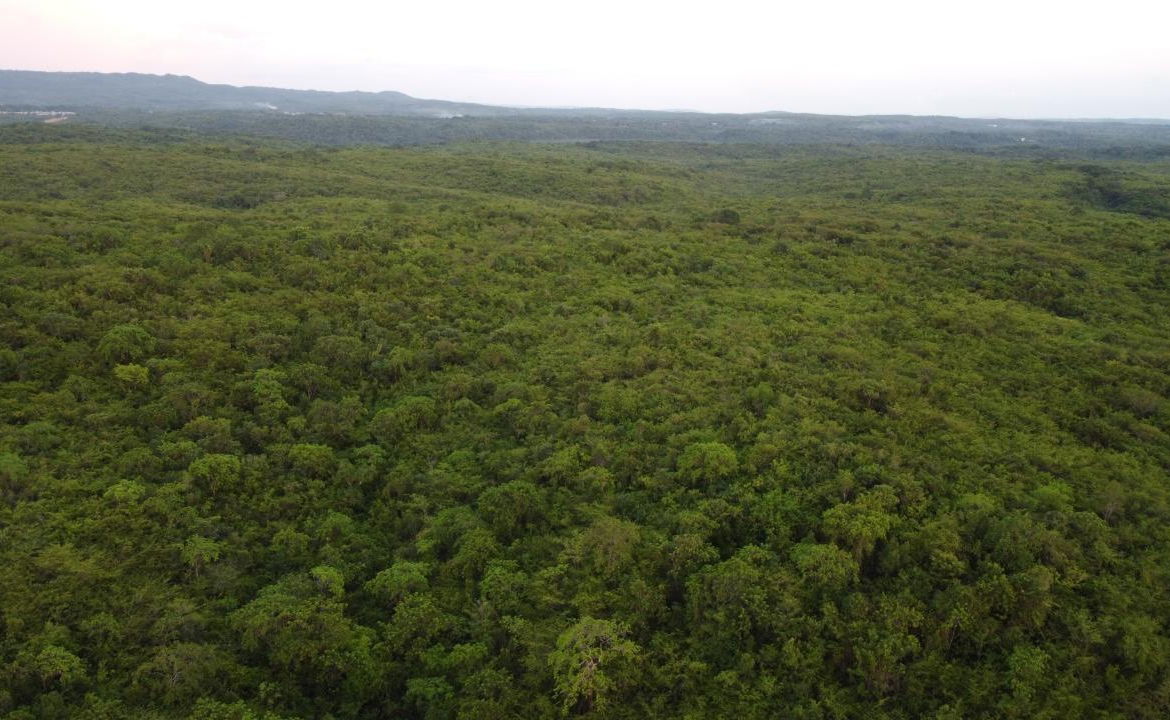 Twelfth image of Sevens, May Pen in May Pen, Clarendon, Jamaica - property is For Sale