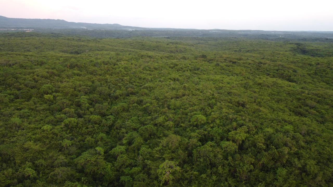 Twelfth image of Sevens, May Pen in May Pen, Clarendon, Jamaica - property is For Sale