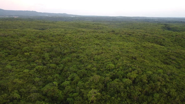 Twelfth image of Sevens, May Pen in May Pen, Clarendon, Jamaica - property is For Sale