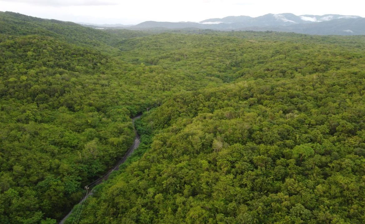 Fourteenth image of Sevens, May Pen in May Pen, Clarendon, Jamaica - property is For Sale