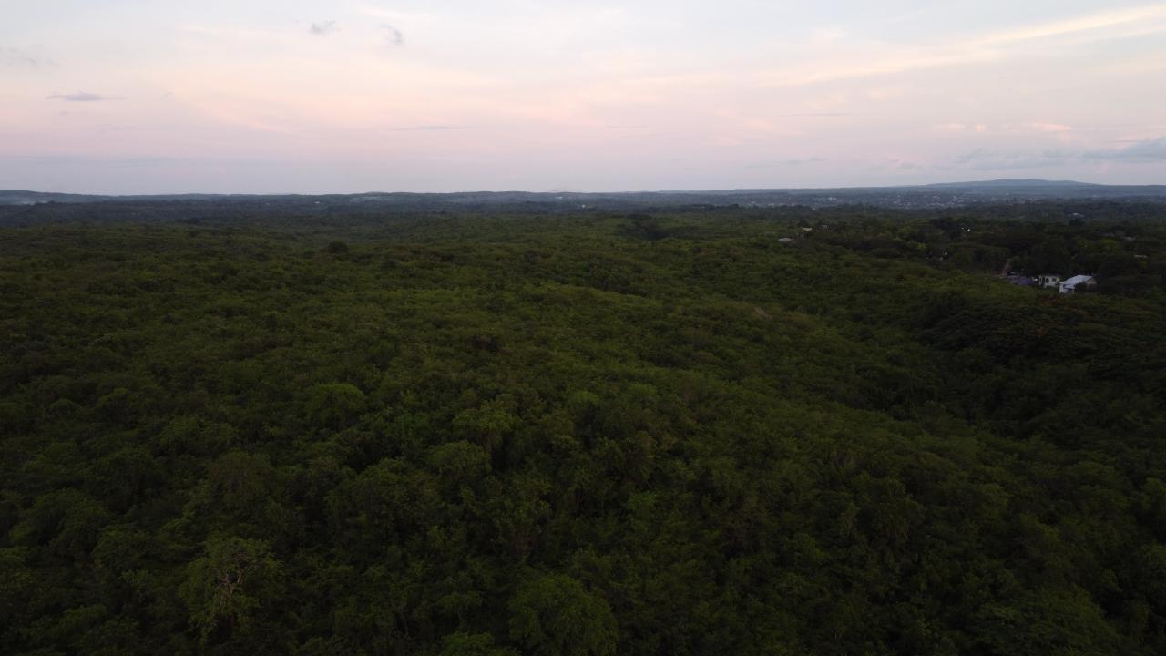 Fourth image of Sevens, May Pen in May Pen, Clarendon, Jamaica - property is For Sale