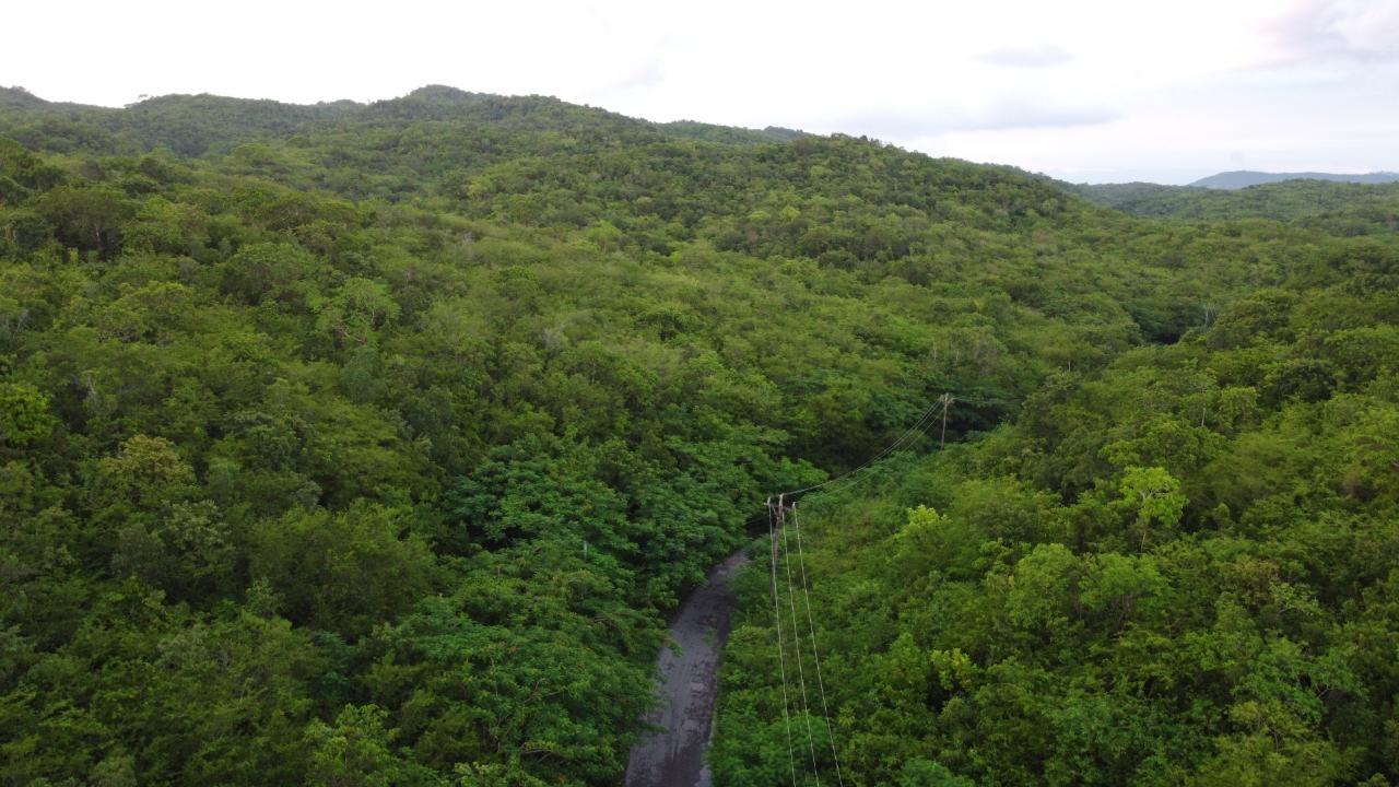 Sixth image of Sevens, May Pen in May Pen, Clarendon, Jamaica - property is For Sale