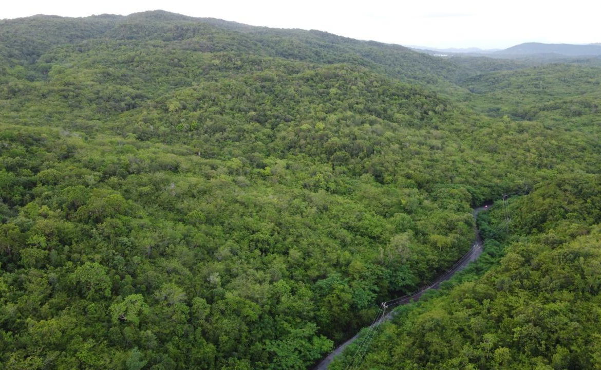 Eighth image of Sevens, May Pen in May Pen, Clarendon, Jamaica - property is For Sale