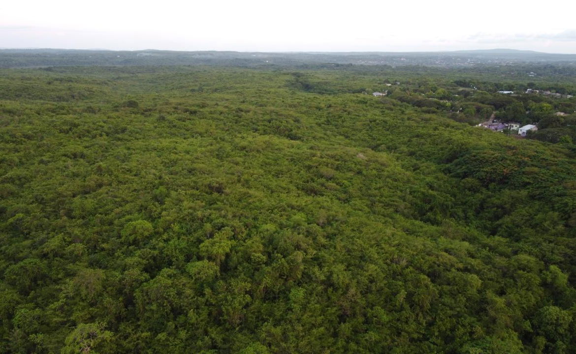 Ninth image of Sevens, May Pen in May Pen, Clarendon, Jamaica - property is For Sale