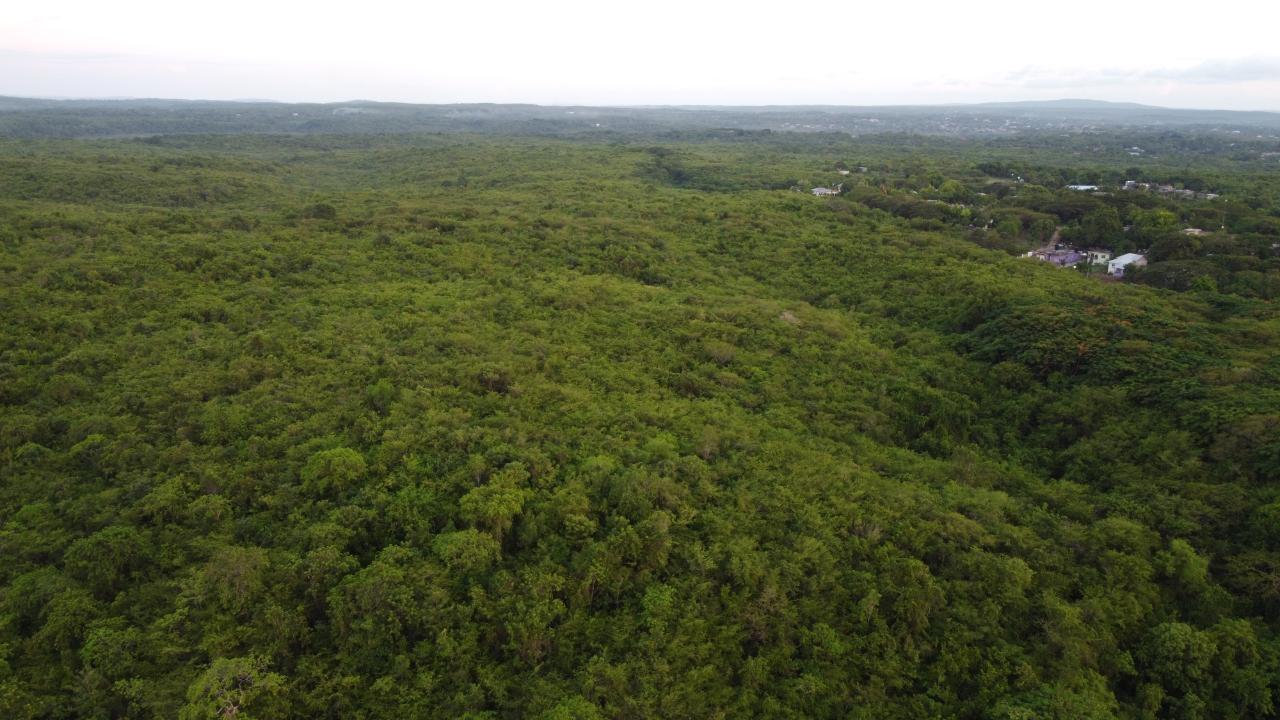 Ninth image of Sevens, May Pen in May Pen, Clarendon, Jamaica - property is For Sale