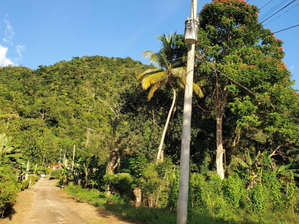 First image of Comfort Hall, Manchester in Comfort Hall, Manchester, Jamaica - property is For Sale