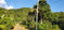 First image of Comfort Hall, Manchester in Comfort Hall, Manchester, Jamaica - property is For Sale