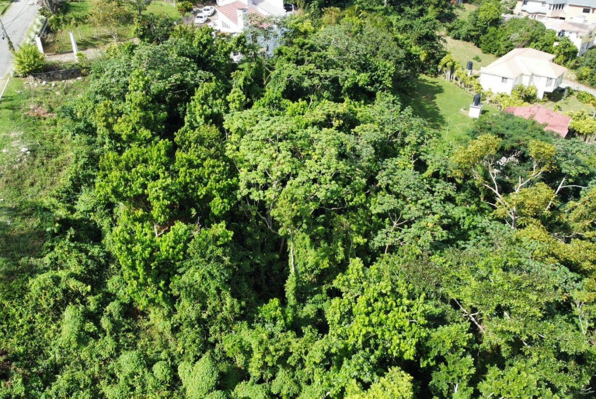 Second image of Badminton Place, Inglesid in Mandeville, Manchester, Jamaica - property is For Sale