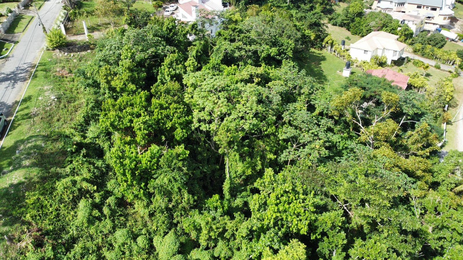 Second image of Badminton Place, Inglesid in Mandeville, Manchester, Jamaica - property is For Sale