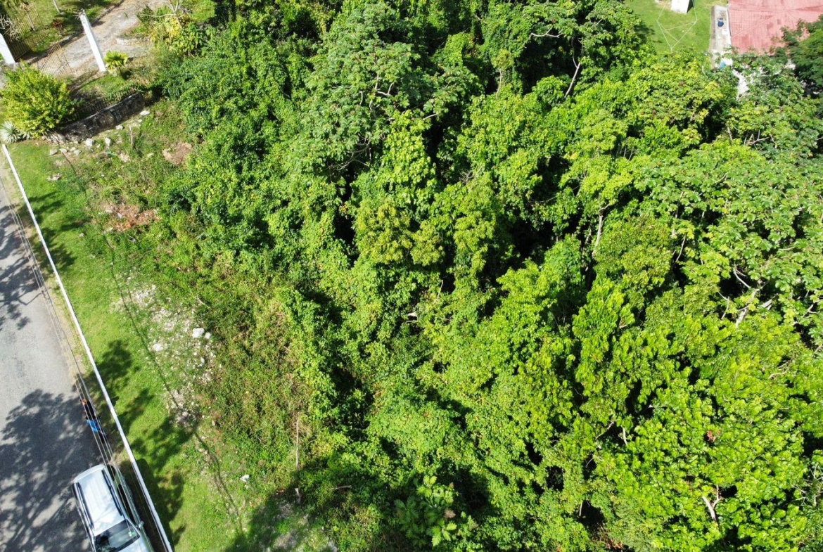 Eleventh image of Badminton Place, Inglesid in Mandeville, Manchester, Jamaica - property is For Sale