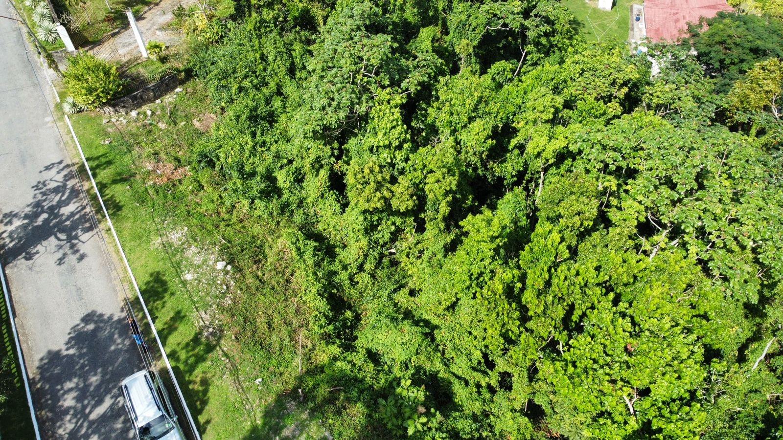 Eleventh image of Badminton Place, Inglesid in Mandeville, Manchester, Jamaica - property is For Sale