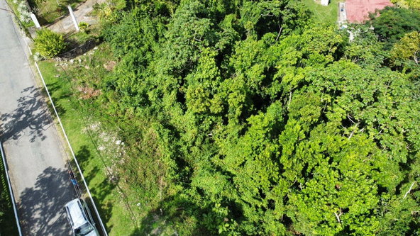 Eleventh image of Badminton Place, Inglesid in Mandeville, Manchester, Jamaica - property is For Sale