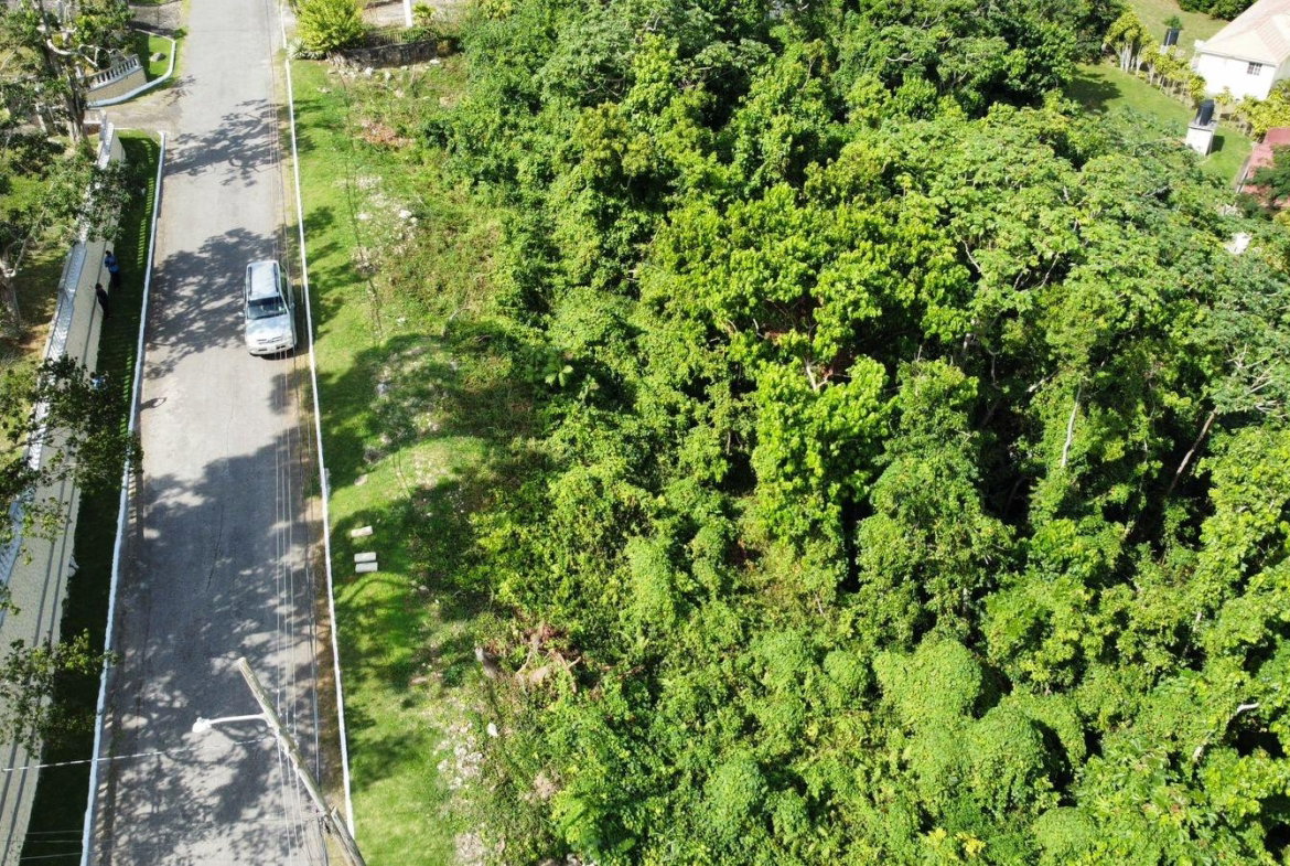 Twelfth image of Badminton Place, Inglesid in Mandeville, Manchester, Jamaica - property is For Sale