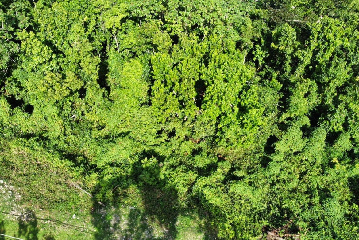 Thirteenth image of Badminton Place, Inglesid in Mandeville, Manchester, Jamaica - property is For Sale