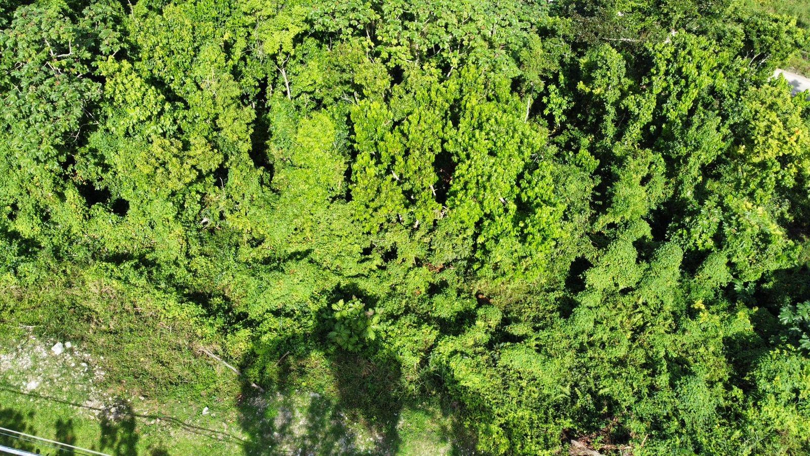 Thirteenth image of Badminton Place, Inglesid in Mandeville, Manchester, Jamaica - property is For Sale