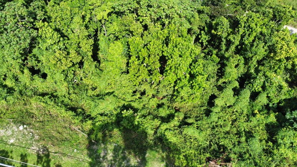 Thirteenth image of Badminton Place, Inglesid in Mandeville, Manchester, Jamaica - property is For Sale