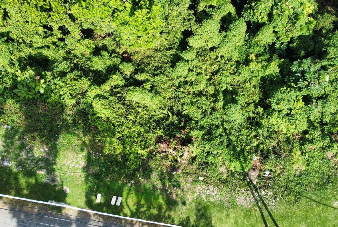 Fifteenth image of Badminton Place, Inglesid in Mandeville, Manchester, Jamaica - property is For Sale