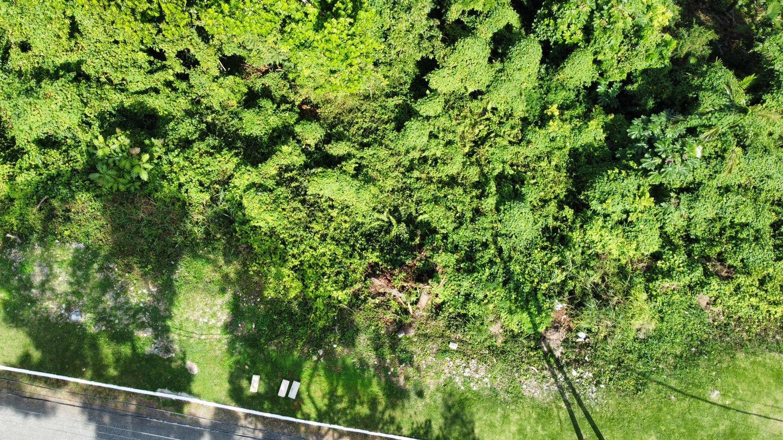 Fifteenth image of Badminton Place, Inglesid in Mandeville, Manchester, Jamaica - property is For Sale