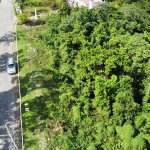 First image of Badminton Place, Inglesid in Mandeville, Manchester, Jamaica - property is For Sale