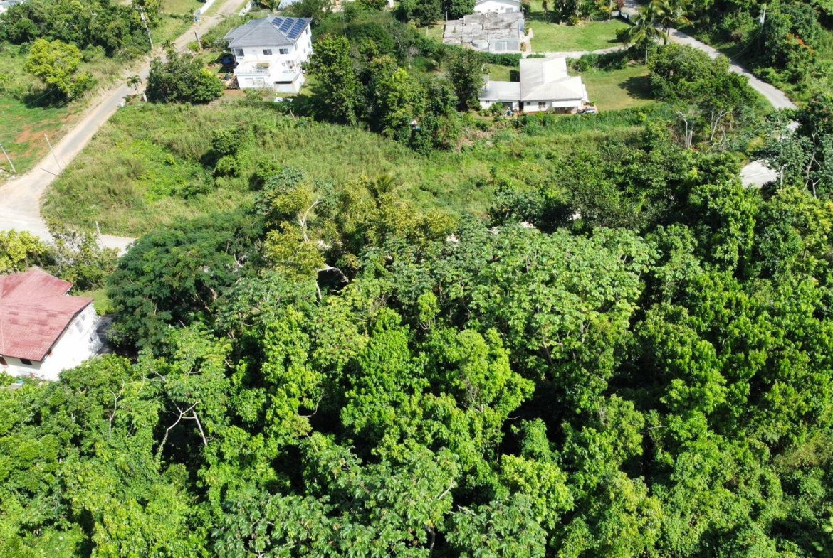 Nineteenth image of Badminton Place, Inglesid in Mandeville, Manchester, Jamaica - property is For Sale