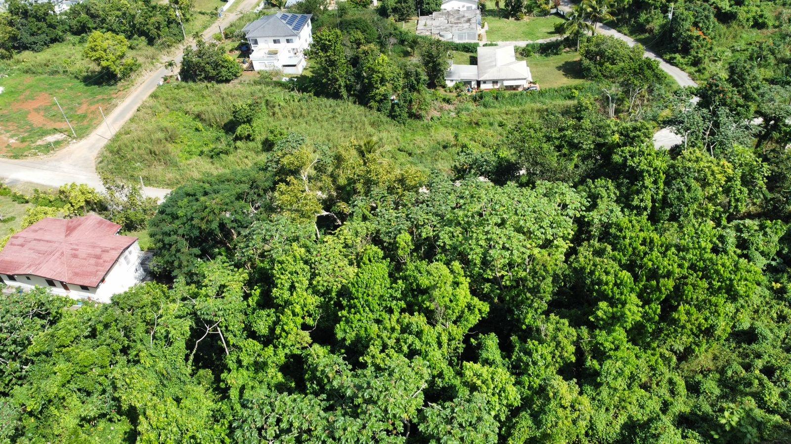 Nineteenth image of Badminton Place, Inglesid in Mandeville, Manchester, Jamaica - property is For Sale