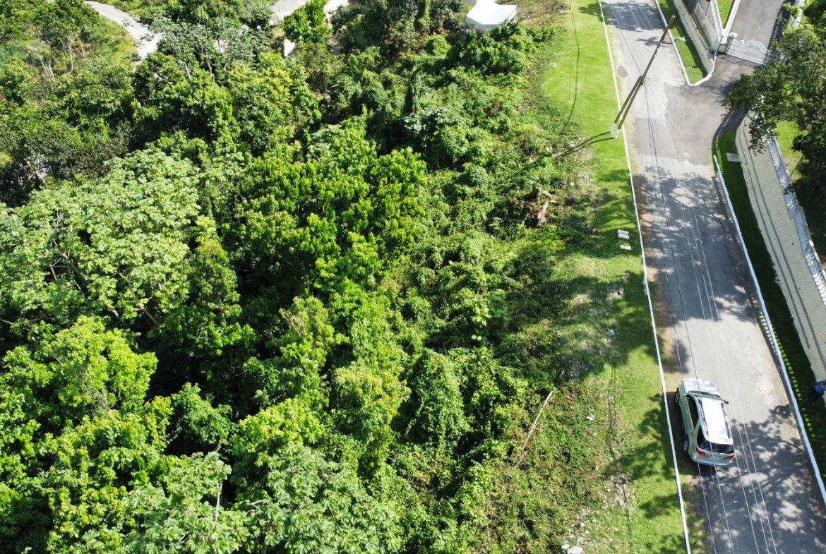 Twentieth image of Badminton Place, Inglesid in Mandeville, Manchester, Jamaica - property is For Sale