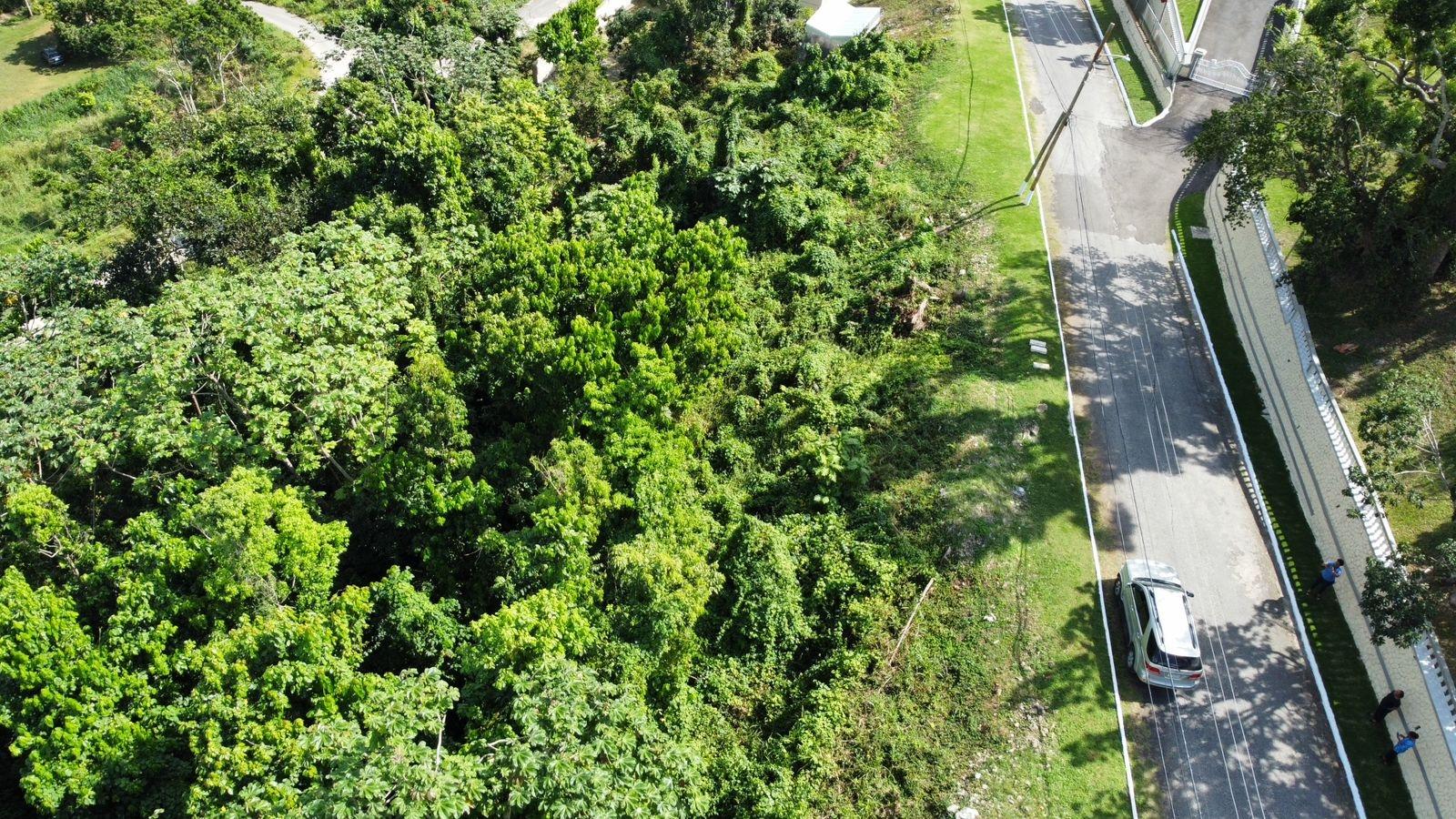 Twentieth image of Badminton Place, Inglesid in Mandeville, Manchester, Jamaica - property is For Sale