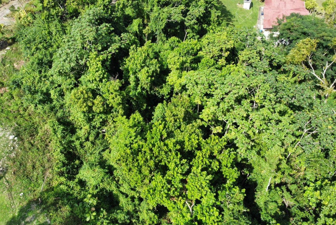 Third image of Badminton Place, Inglesid in Mandeville, Manchester, Jamaica - property is For Sale