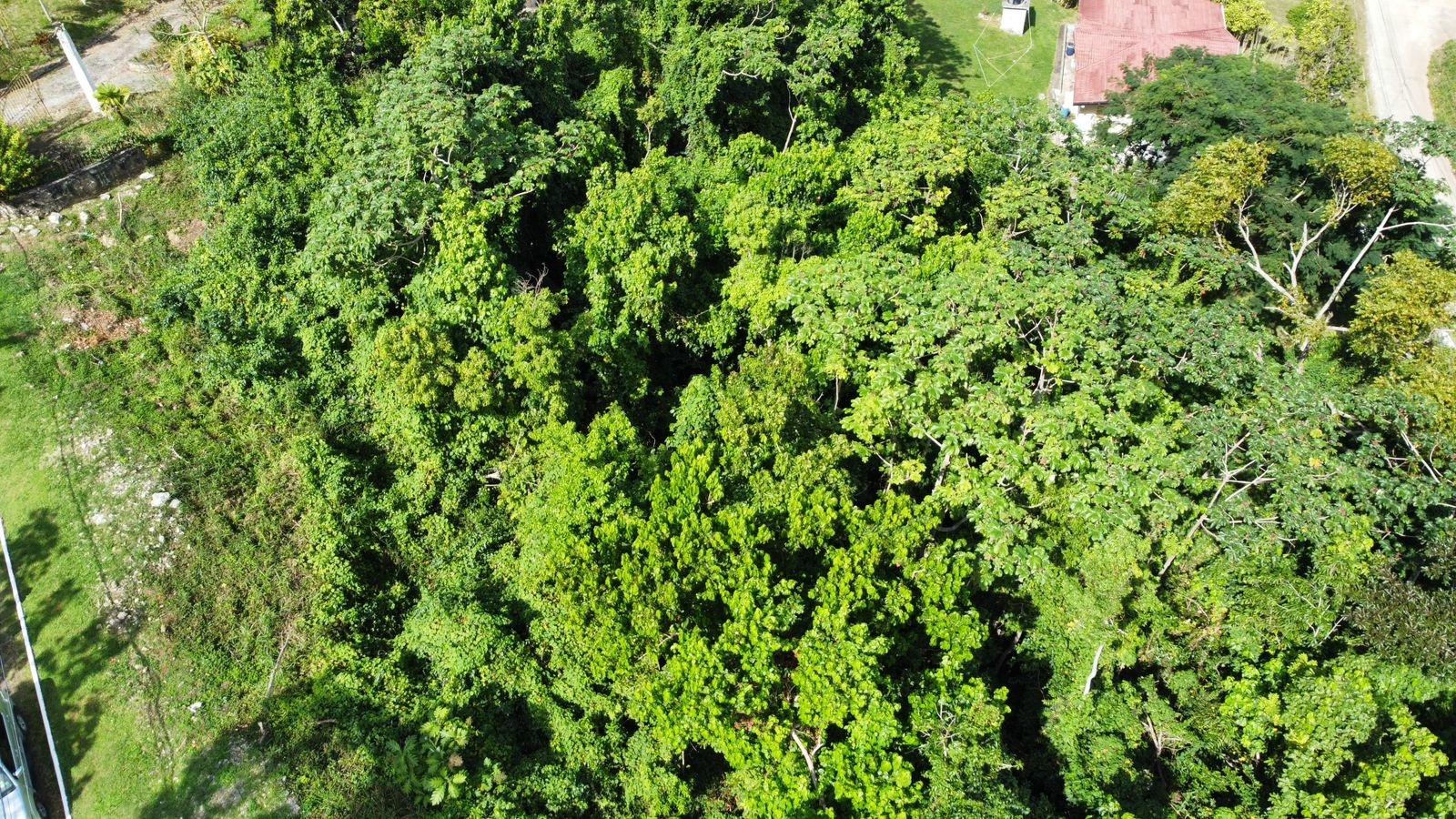 Third image of Badminton Place, Inglesid in Mandeville, Manchester, Jamaica - property is For Sale