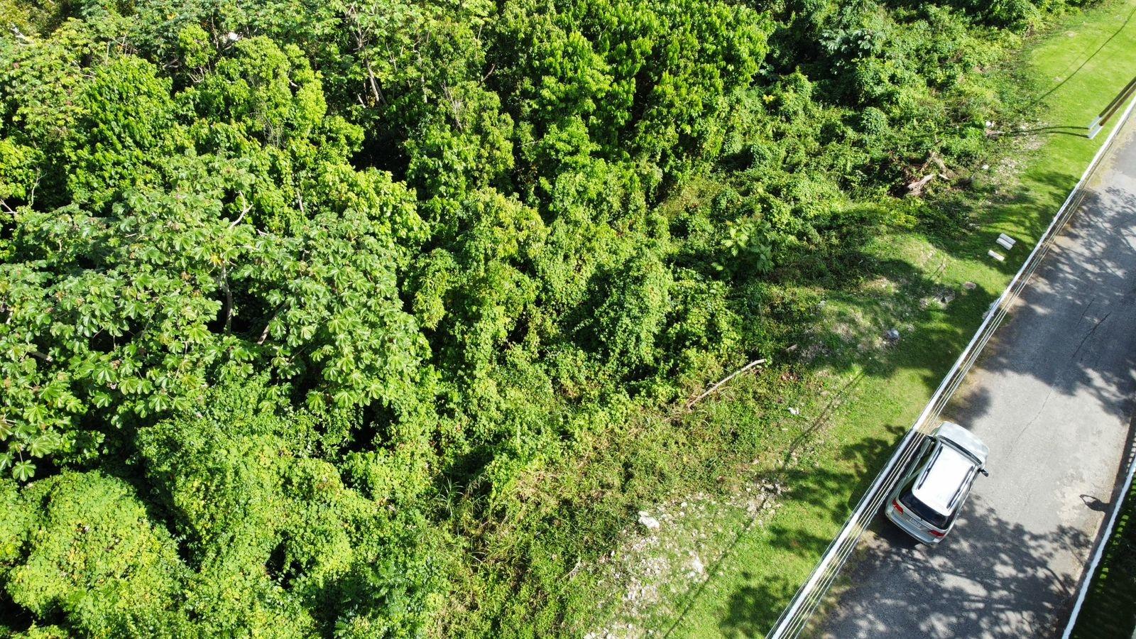 Twenty-First image of Badminton Place, Inglesid in Mandeville, Manchester, Jamaica - property is For Sale