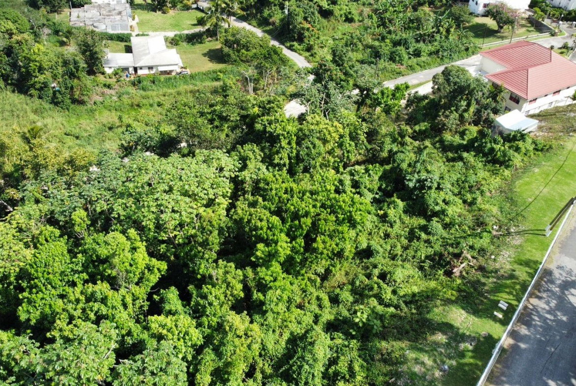 Twenty-Fourth image of Badminton Place, Inglesid in Mandeville, Manchester, Jamaica - property is For Sale