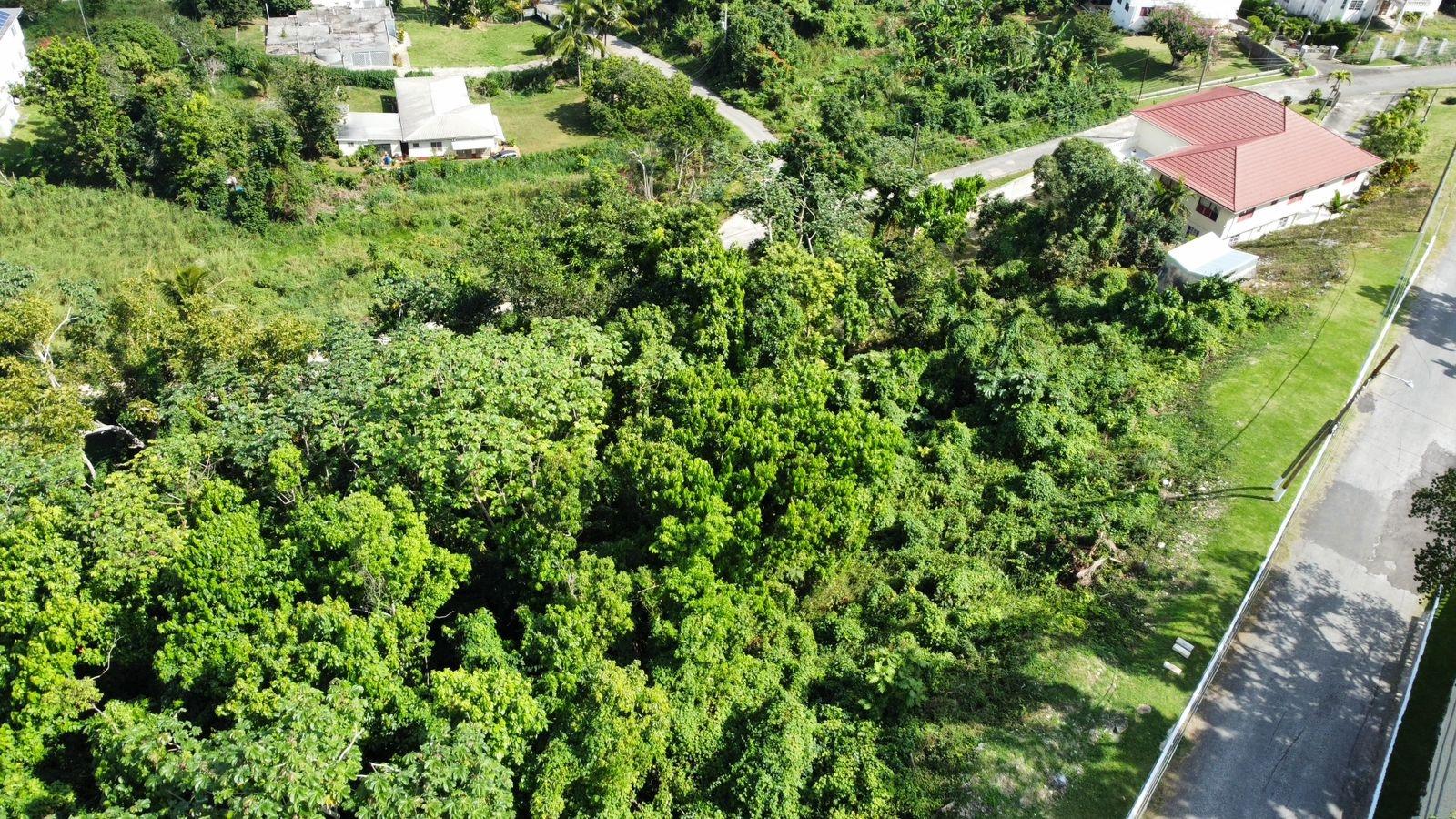 Twenty-Fourth image of Badminton Place, Inglesid in Mandeville, Manchester, Jamaica - property is For Sale