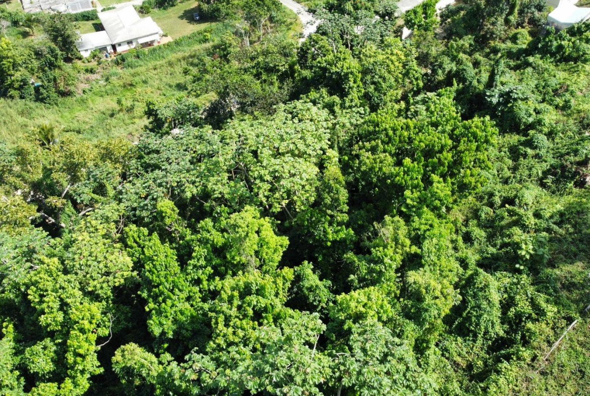 Twenty-Fifth image of Badminton Place, Inglesid in Mandeville, Manchester, Jamaica - property is For Sale