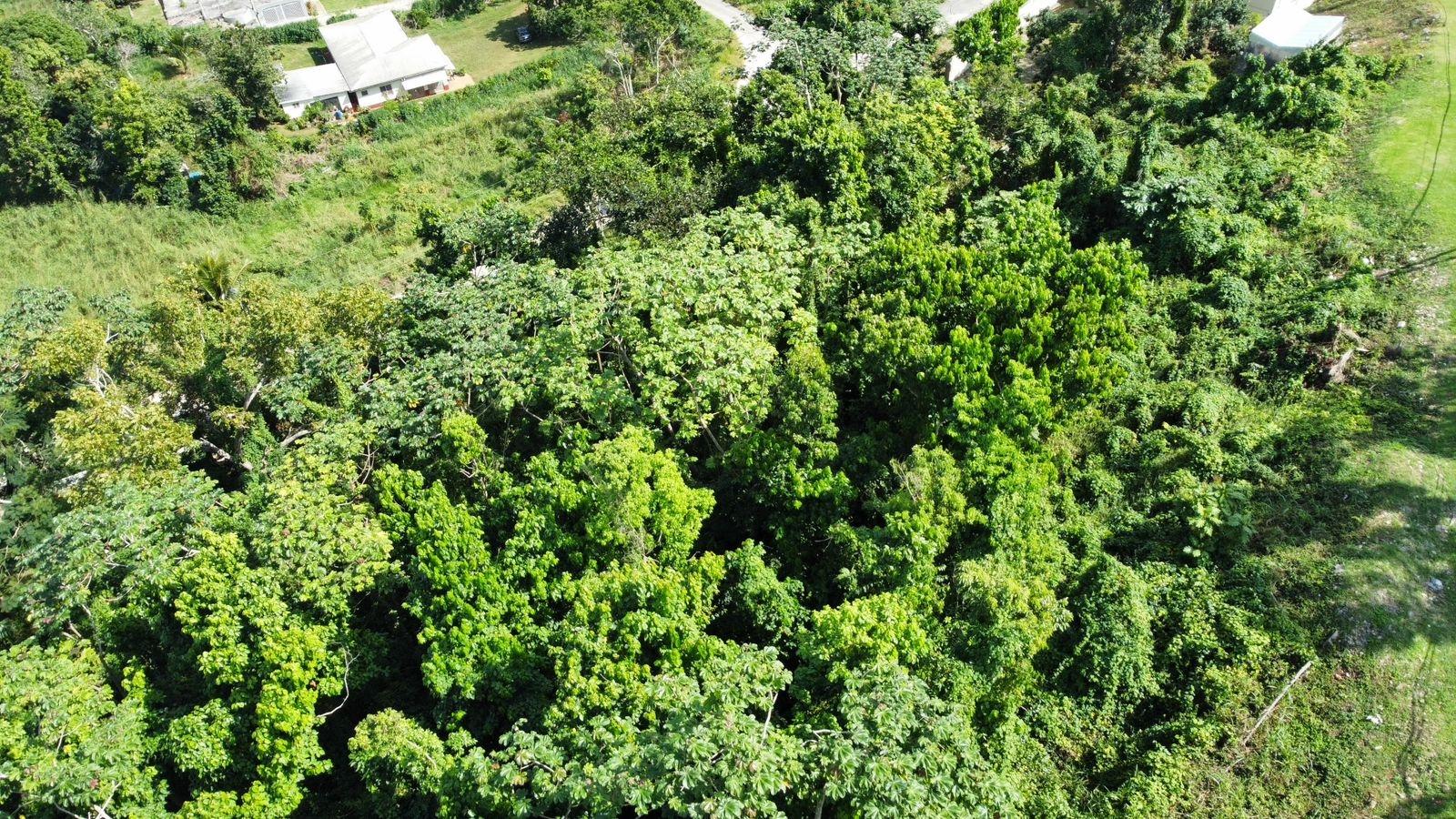 Twenty-Fifth image of Badminton Place, Inglesid in Mandeville, Manchester, Jamaica - property is For Sale