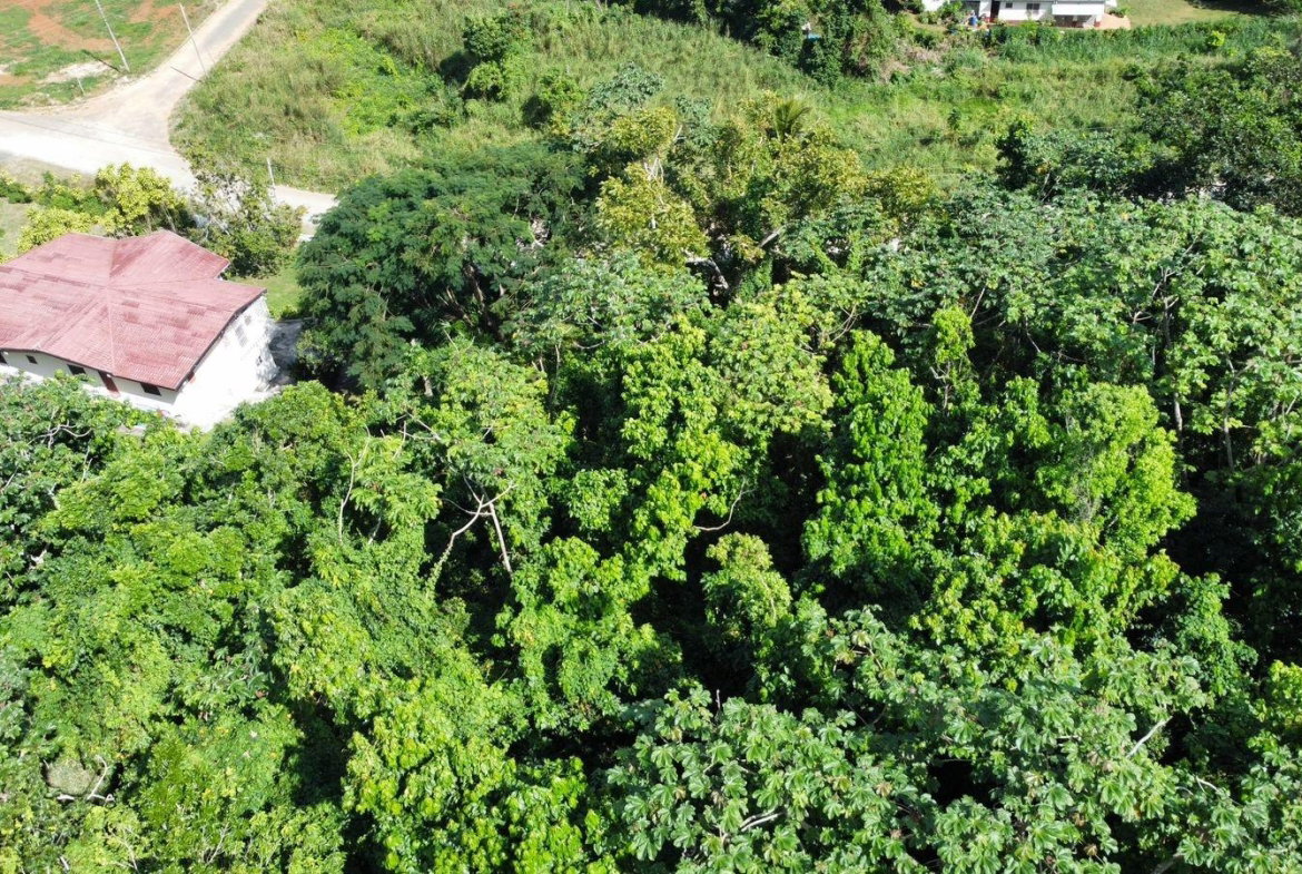 Twenty-Sixth image of Badminton Place, Inglesid in Mandeville, Manchester, Jamaica - property is For Sale