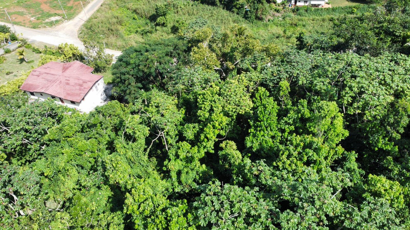 Twenty-Sixth image of Badminton Place, Inglesid in Mandeville, Manchester, Jamaica - property is For Sale